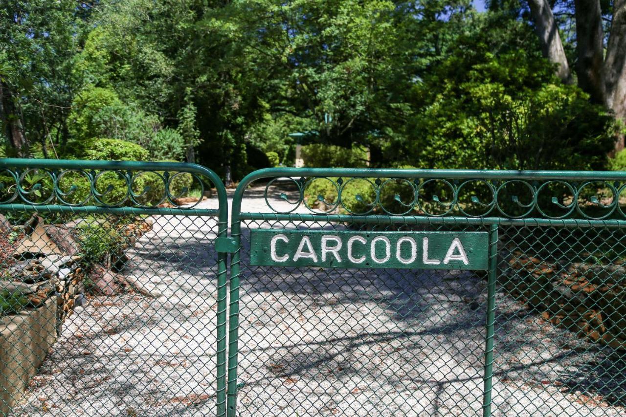 Carcoola Villa Blackheath Bagian luar foto